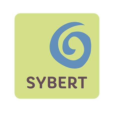 Image de RAPITRAN SYBERT 3C VERT 6x6 cm